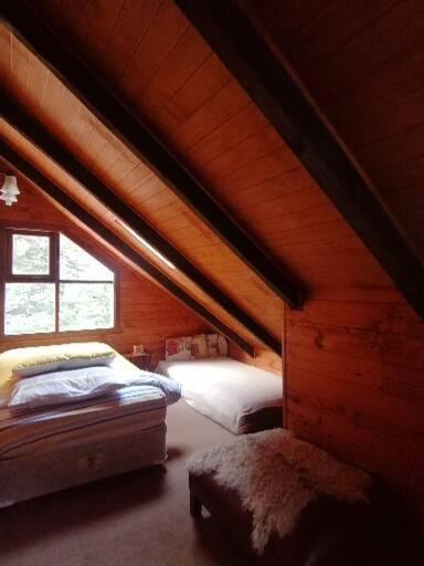 Refugio Raices