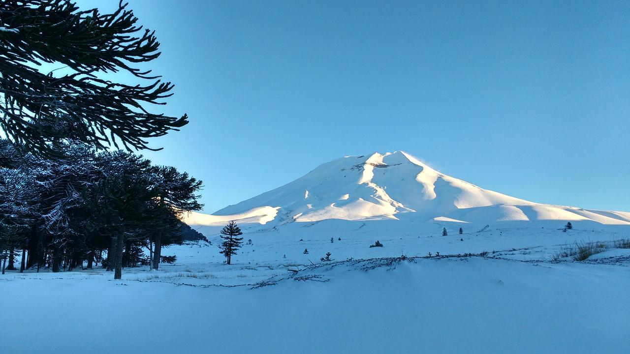 Refugio Raices Lodge