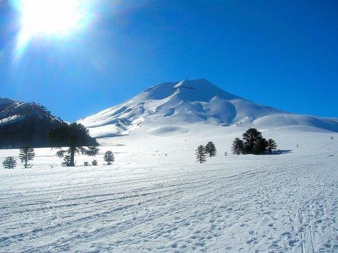Lodge Refugio Raices *