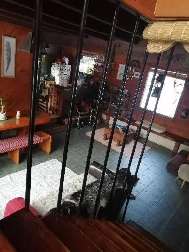 Refugio Raices Alojamento