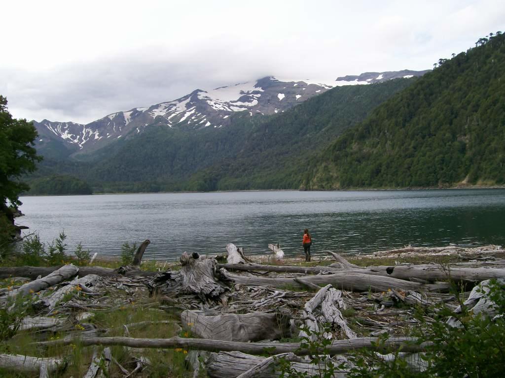 Refugio Raices Alojamento