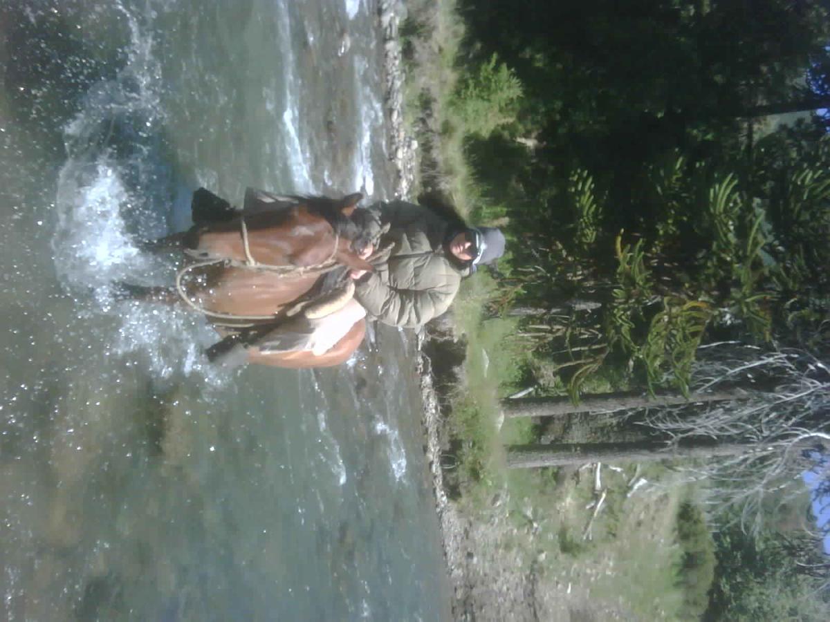 Refugio Raices Alojamento *