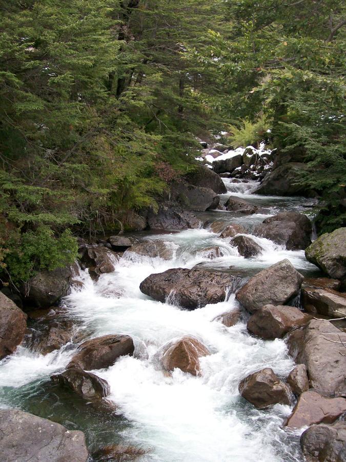 Refugio Raices *