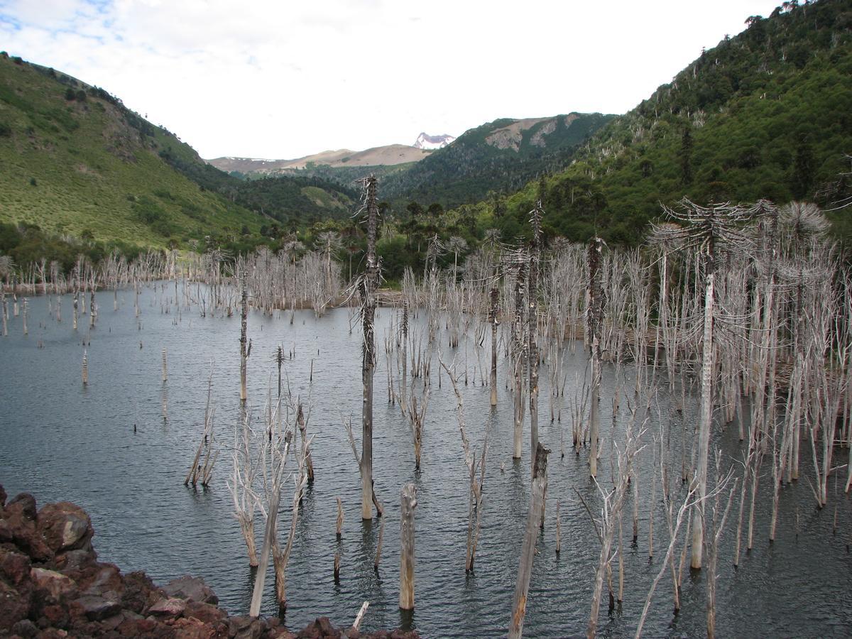 Refugio Raices Alojamento *